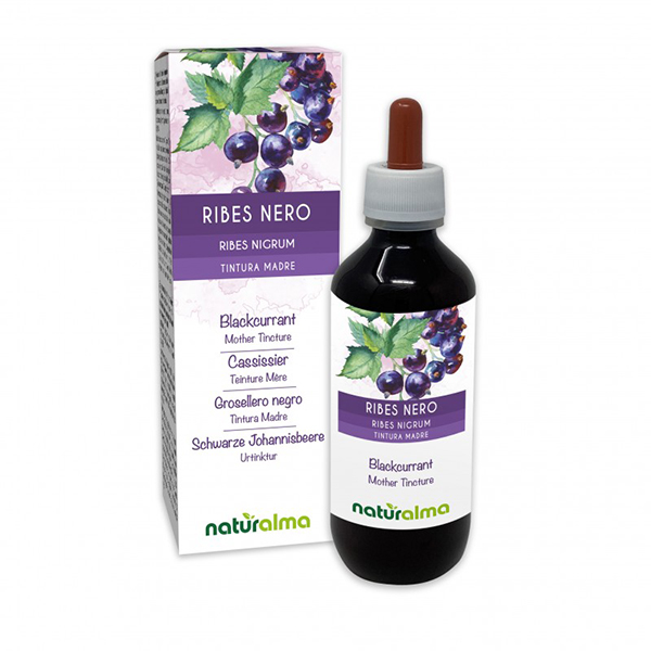 RIBES NIGRUM TINTURA MADRE 60 ML-0