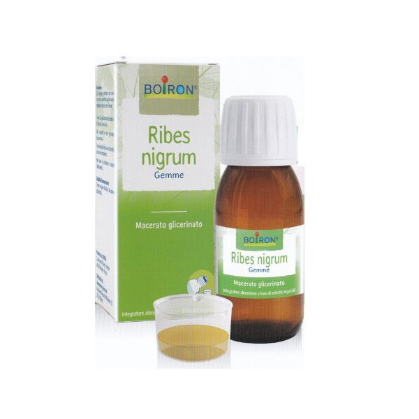 RIBES NIGRUM GEMME MACERATO GLICERICO 30 ML-0