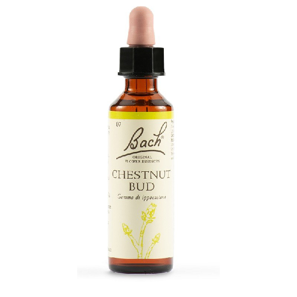CHESTNUT BUD BACH ORIG 20 ML-0