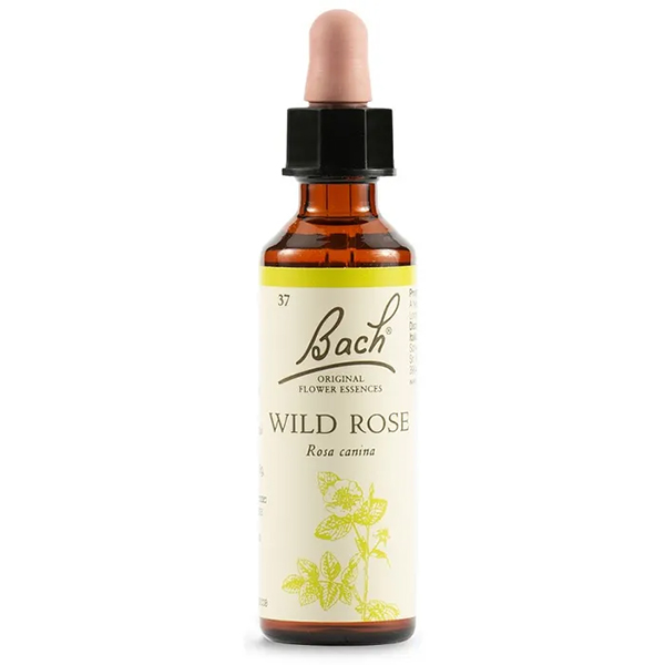 Farbene.shop | Fiori di Bach Wild Rose Bach Original 20ml